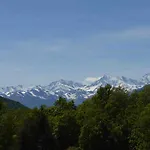 Arvinei
