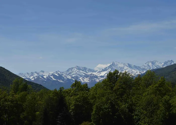 Arvinei